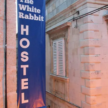 Hostel White Rabbit *