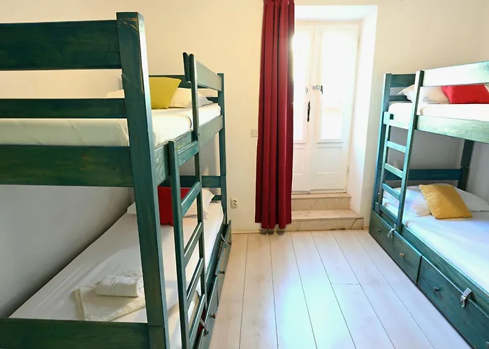 Hostel White Rabbit *