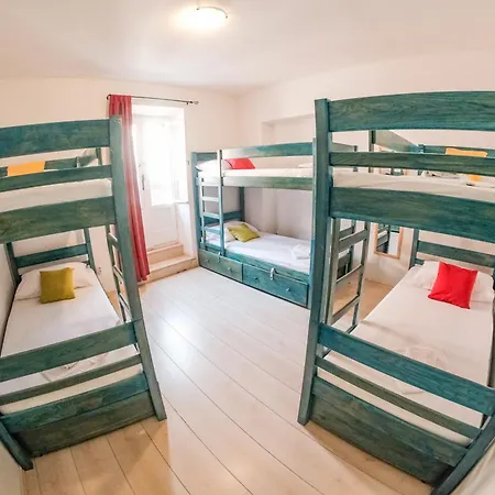 호스텔 화이트 래빗 *