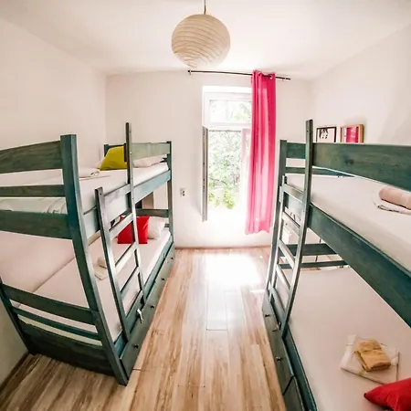 화이트 래빗 흐바르