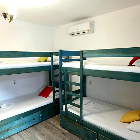 호스텔 화이트 래빗