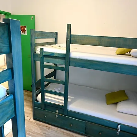 화이트 래빗 흐바르