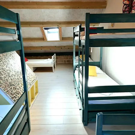 화이트 래빗 * 흐바르