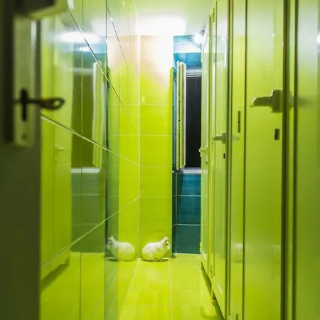 White Rabbit Albergue