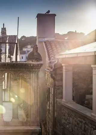 화이트 래빗 * 흐바르