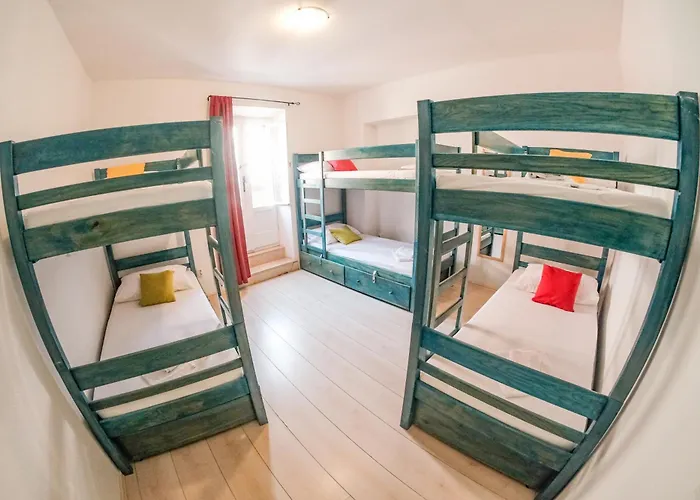 Ostello White Rabbit *